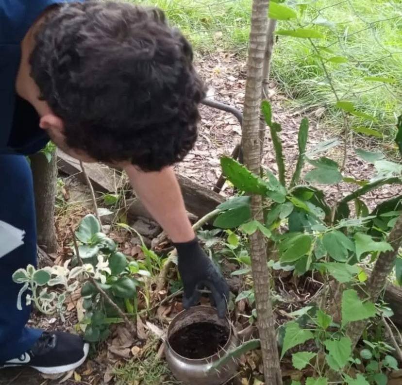 Salud advierte que el Aedes Aegypti aún puede continuar en las casas
