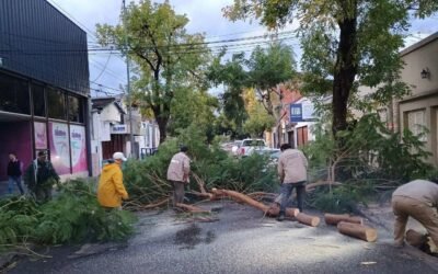Amplio operativo de la Municipalidad ante los fuertes vientos y lluvias en la ciudad