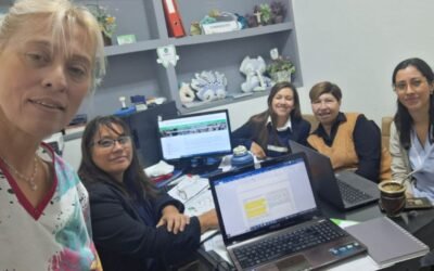 Nuevo diseño curricular en Primaria